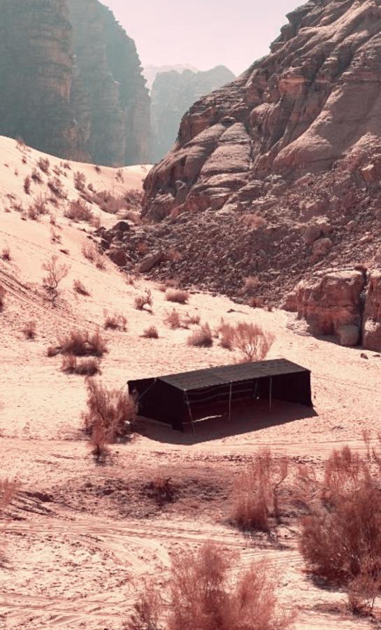 Rum Angel Camp Wadi Rum Exterior foto