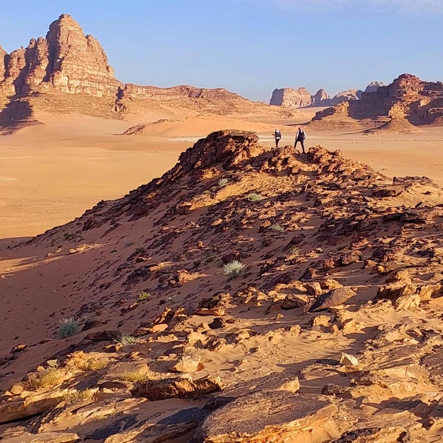 Rum Angel Camp Wadi Rum Exterior foto